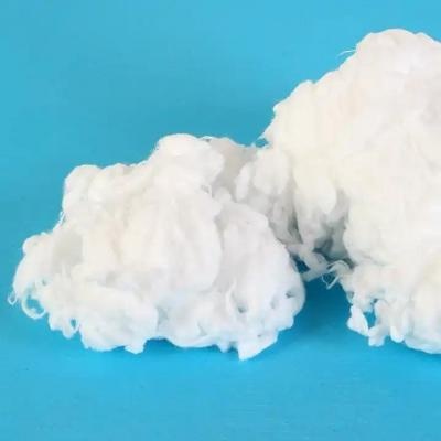 Absorbent bleached cotton